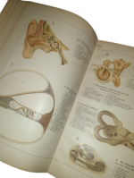 paul-ebenhoch-theodor-himmelein-der-bau-des-menschlichen-korpers-anatomische-beschreibung-des-menschen-fur-schule-und-haus-esslingen-und-munchen-jf-schreiber-1895