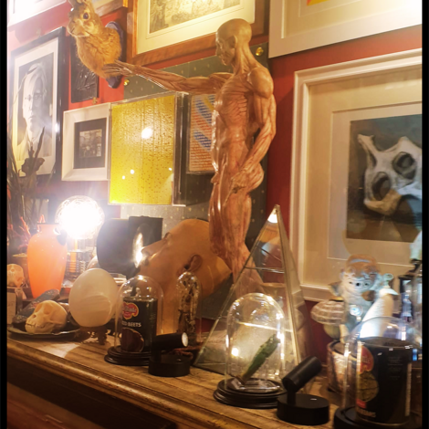 frenologia%20con%20teste frenologia%20con%20teste