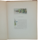 andre-theuriet-nos-oiseaux-aquarelles-de-hector-giacomelli-parigi-h-launette-et-compagnie-editeurs-1886