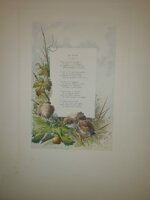 andre-theuriet-nos-oiseaux-aquarelles-de-hector-giacomelli-parigi-h-launette-et-compagnie-editeurs-1886