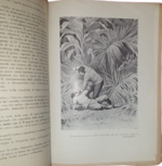 luigi-motta-gli-abbandonati-del-galveston-romanzo-d-avventure-milano-l-italica-1923