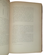 enrico-ferri-l-omicidio-nell-antropologia-criminale-omicida-nato-e-omicida-pazzo-torino-fratelli-bocca-editori-1895
