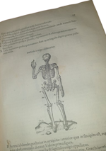 conrad-gessner-chirurgia-de-chirurgia-scriptores-optimi-quique-veteres-et-recentiores-plerique-in-germania-antehac-non-editi-nunc-primum-in-unum-coniuncti-volumen-tiguri-per-andream-gessnerum-et-iacobum-gessnerum-fratres-mense-martio-1555