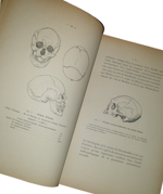 lucien-mayet-notes-sur-les-sciences-anthropologiques-et-plus-particulierement-l-anthropologie-criminelle-en-hollande-et-en-belgiques-lyon-a-storck-cie-imprimeurs-editeurs-19021903
