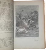 luigi-motta-l-occhio-di-fuoco-romanzo-d-avventure-milano-l-italica-1923