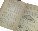 jules-breteuil-le-cuisinier-europeen-ouvrage-contenant-les-meilleures-recettes-des-cuisines-francaises-et-etrangeres-pour-la-preparation-des-potages-sauces-ragouts-entrees-rotis-fritures-entremets-paris-garnier-freres-1880-ca