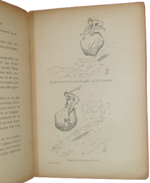 miguel-zamacois-le-velocipede-a-travers-le-sages-paris-societe-d-editions-scientifiques-1893