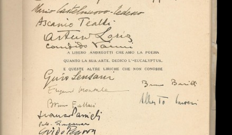 garibaldi-removebg-preview