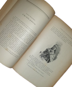 emilio-salgari-il-re-della-prateria-avventure-illustrate-da-gg-bruno-firenze-bemporad-figlio-1901