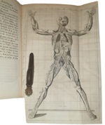 jacob-benignus-winslow-winslw-exposition-anatomique-de-la-structure-du-corps-humain-a-paris-chez-guillaume-desprez-et-jean-desessartz-1732