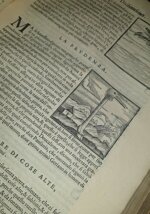 giovanni-pierio-valeriano-bolzone-di-bellune-giovanni-pietro-bolzani-dalle-fosse-ieroglifici-overo-commentari-delle-occulte-significationi-de-gli-egittij-in-venetia-appresso-gio-antonio-e-giacomo-de-franceschi-1602