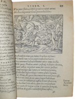 publio-ovidio-nasone-metamorphoseon-libri-xv-ac-breuissimis-in-singulas-qasque-fabulas-argumentis-illustrati-cum-indice-fabularum-copiosissimo-parisiis-apud-hieronymum-de-marnef-1576