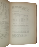 enrico-ferri-l-omicidio-nell-antropologia-criminale-omicida-nato-e-omicida-pazzo-torino-fratelli-bocca-editori-1895