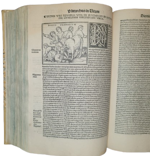 plutarco-di-cheronea-vitae-novissime-post-jodocum-badius-ascensium-longe-diligentius-repositae-maioreque-diligentia-castigatae-cum-copiosore-verioreque-indice-nec-non-cum-aemilii-venetiis-melchiore-sessam-petrus-de-ravanis-socios-1