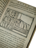 lucio-apuleio-l-asino-d-oro-di-lucio-apuleio-filosofo-platonico-tradotto-nuovamente-in-lingua-volgare-dal-molt-illustre-sig-pompeo-vizani-nobile-bolognese-aggiuntovi-le-figure-a-ciascuna-favola-in-venetia-per-domenico-louisa-a-rialto-1703