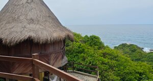 87a51794-5a03-4f26-a2af-d4bc154707df.jpeg