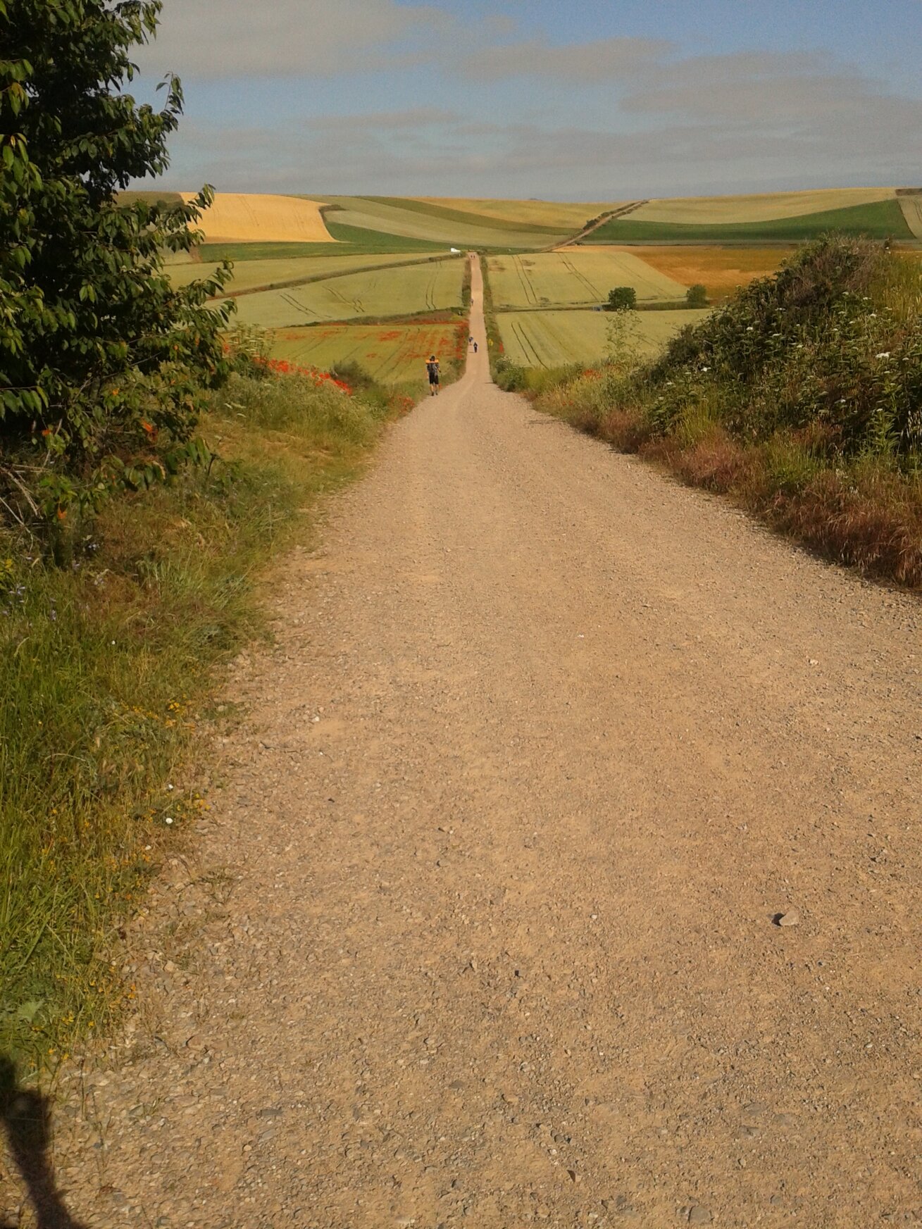 2012-06-17 09.57.21.jpeg