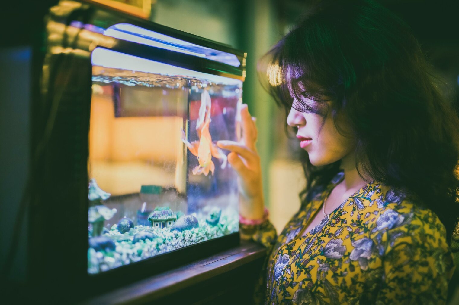 pexels-huynh-van-9300576.jpeg