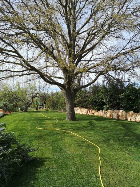 whatsapp image 2026-01-26 at 19.11.47 (1).jpeg