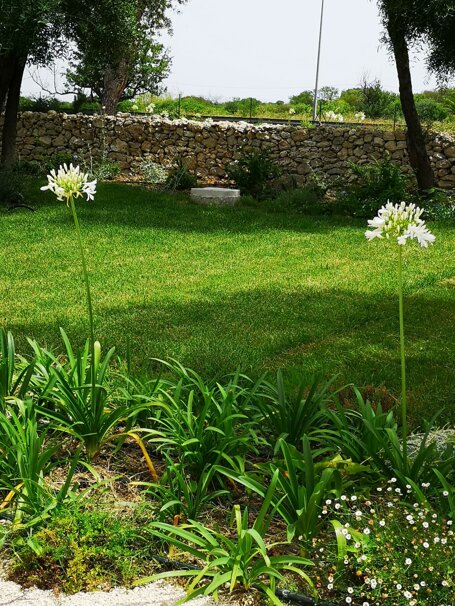 whatsapp image 2026-01-26 at 19.12.29.jpeg