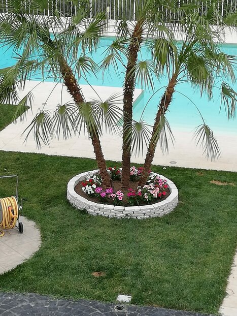 whatsapp image 2026-01-26 at 17.25.44.jpeg