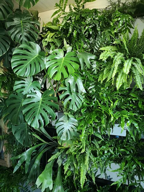 whatsapp image 2026-01-26 at 19.09.38.jpeg