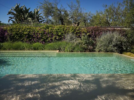 whatsapp image 2026-02-04 at 16.19.02.jpeg