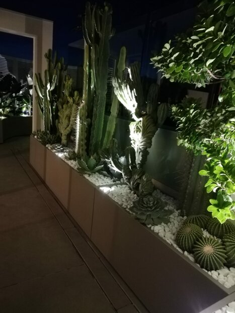 whatsapp image 2026-01-26 at 17.41.46.jpeg