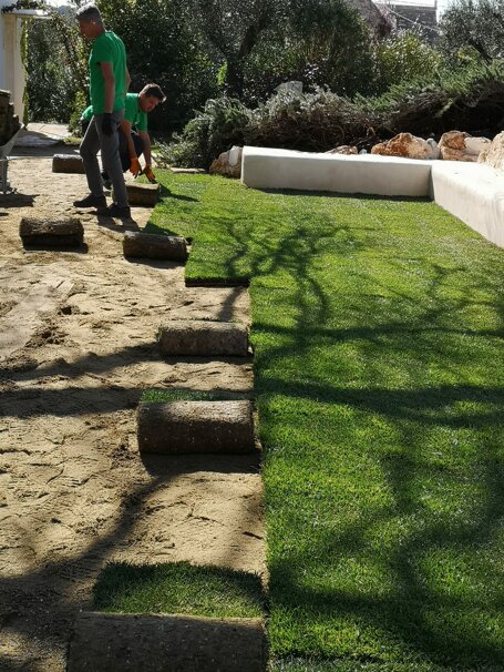 whatsapp image 2026-01-26 at 19.11.46.jpeg