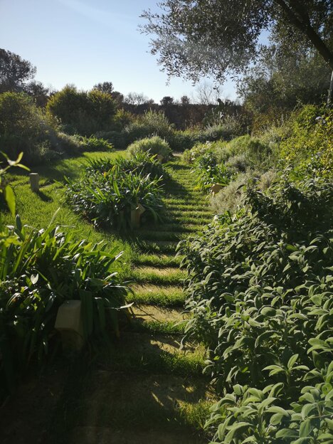 whatsapp image 2026-02-04 at 16.23.54.jpeg