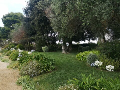 whatsapp image 2026-01-26 at 18.45.28.jpeg