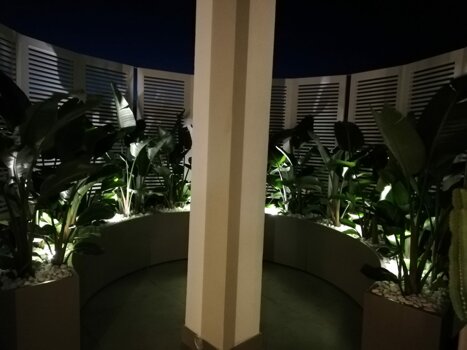 whatsapp image 2026-01-26 at 17.42.06.jpeg