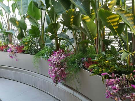 whatsapp image 2026-01-26 at 17.40.34.jpeg