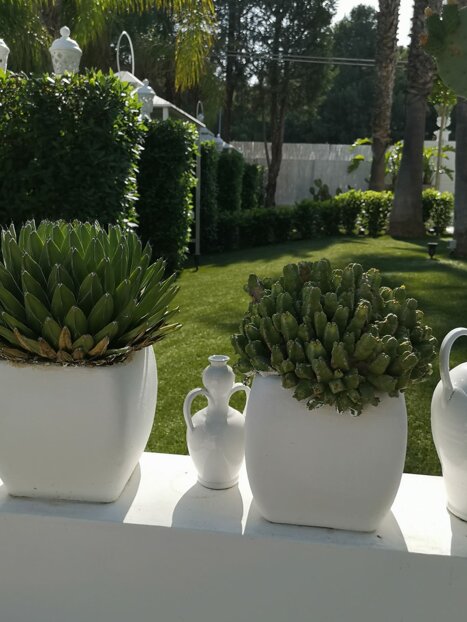 whatsapp image 2026-01-22 at 14.44.47.jpeg