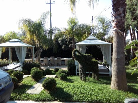 whatsapp image 2026-01-30 at 10.17.52 (1).jpeg