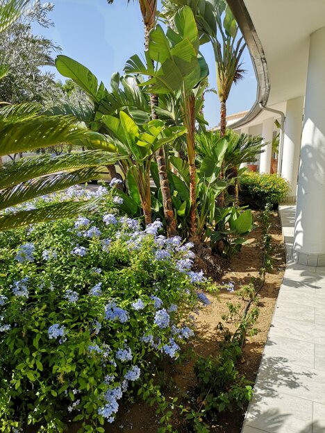 whatsapp image 2026-02-04 at 16.32.41.jpeg