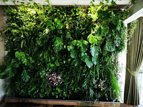 whatsapp image 2026-01-26 at 18.10.25 (1).jpeg