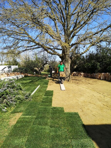 whatsapp image 2026-01-26 at 19.11.47.jpeg