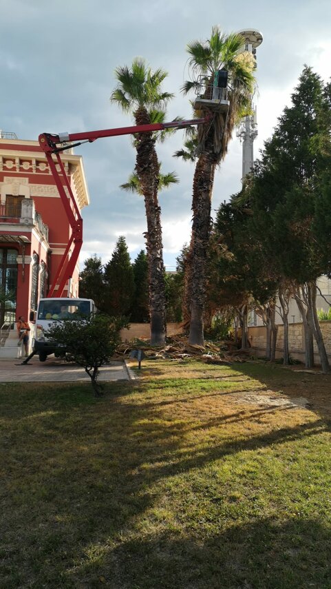 whatsapp image 2026-01-26 at 19.04.50.jpeg