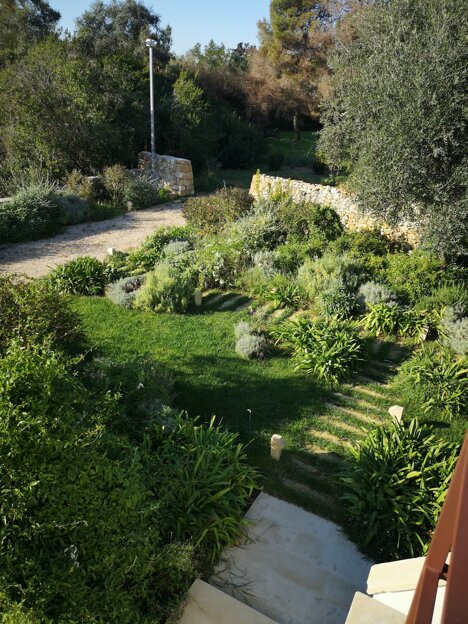 whatsapp image 2026-02-04 at 16.23.19.jpeg