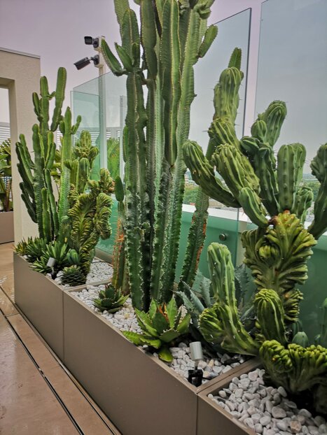 whatsapp image 2026-01-26 at 17.30.00.jpeg