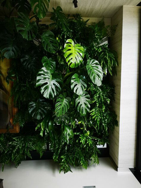 whatsapp image 2026-01-26 at 19.09.58.jpeg