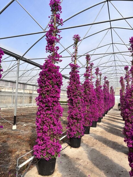 whatsapp image 2026-01-22 at 14.38.20.jpeg