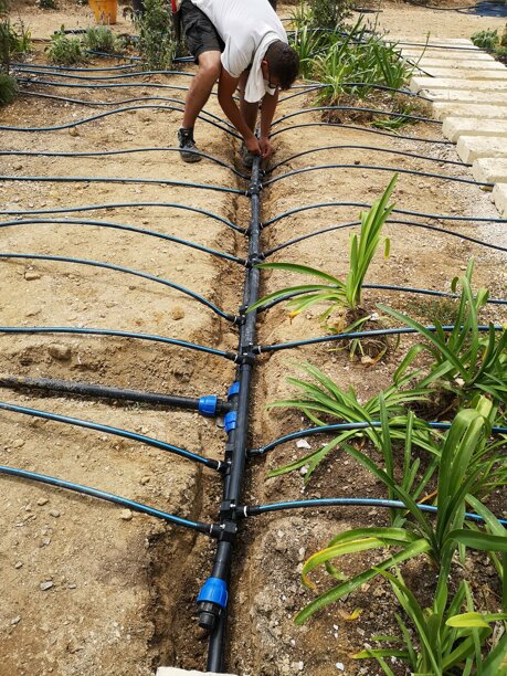 whatsapp image 2026-01-26 at 18.22.42.jpeg