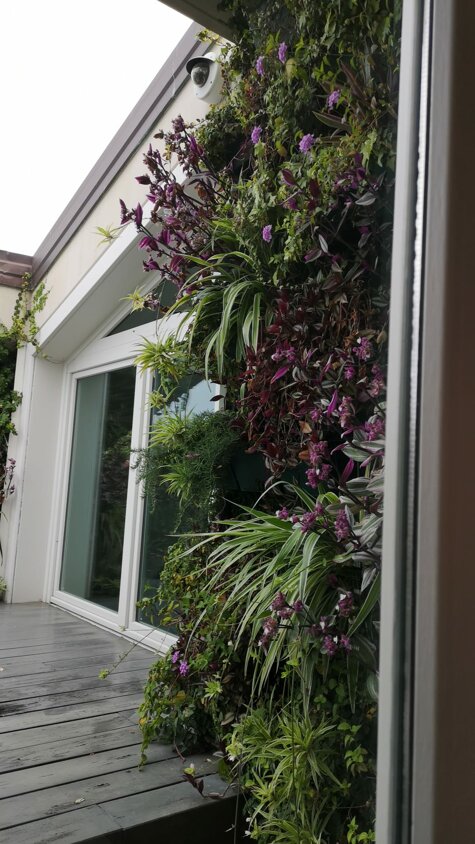 whatsapp image 2026-01-27 at 17.06.21.jpeg