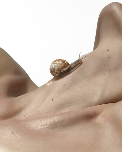 giuseppe de gregorio fotografo di prodotto lumaca.jpeg