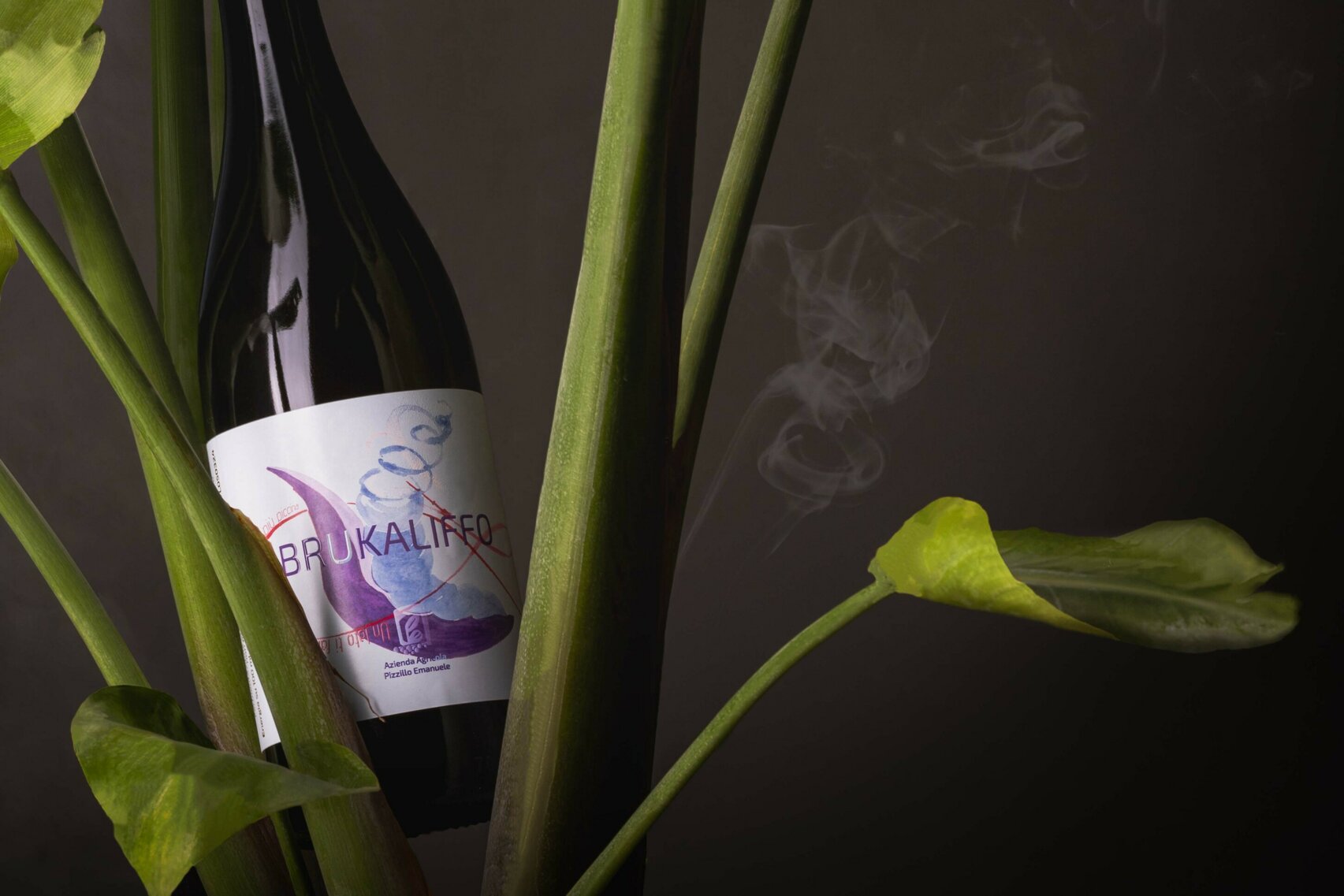 _mg_9990 brucaliffo project.jpeg _mg_9990 brucaliffo project.jpeg