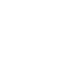 white transparent logo raizes