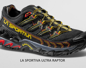 zfrs066_k00y00_zfrs066k00y0038