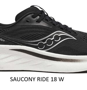 1012b864_250_sr_rt_glb